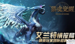 苍龙视频,揭秘神秘生物的奇幻世界